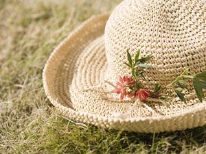 セレブも愛用するGILDANを扱う会社